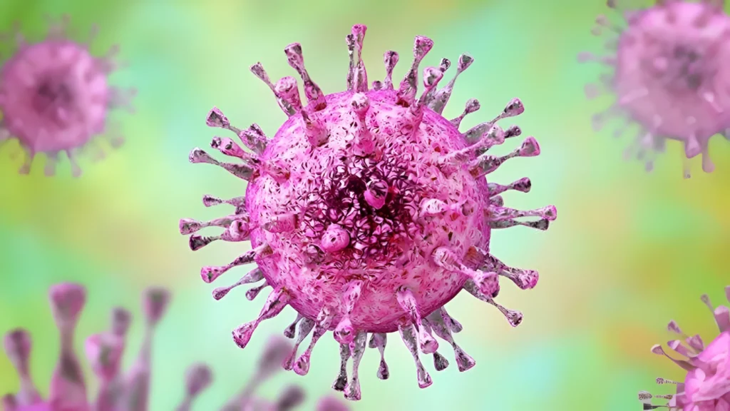 Citomegalovirus (CMV)